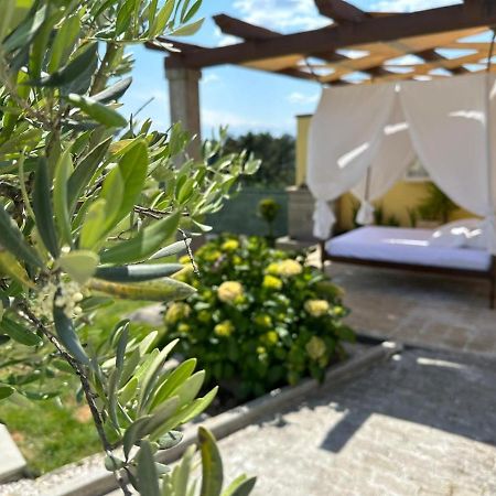 Quinta Da Menina Guest House Vila Real Eksteriør billede